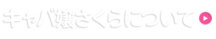 キャバ嬢さくらについて